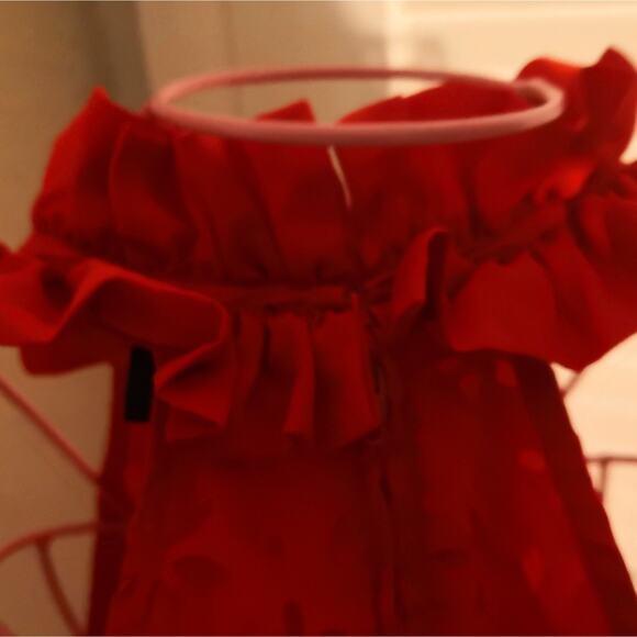 Double Zero Red Embroidered Ruffle Tier Halter Dress L Balletcore Cherry Girl - Picture 5 of 7